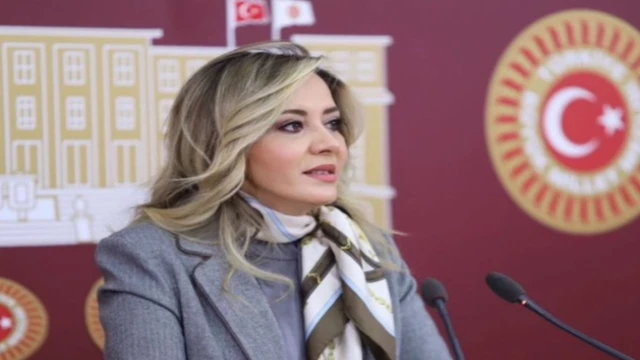 Aylin Cesur da İYİ Parti’den istifa etti