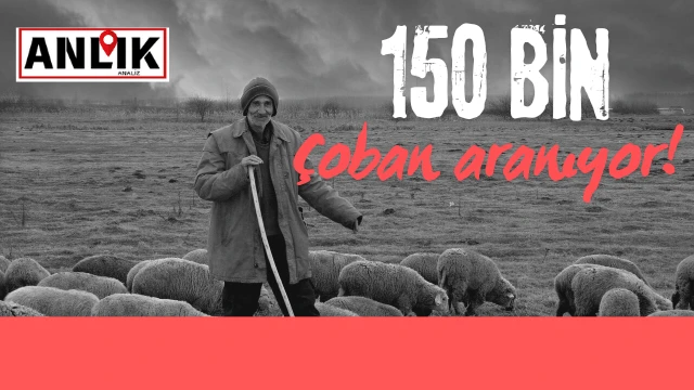 'Yurt dışından 150 Bin çoban alınacak'