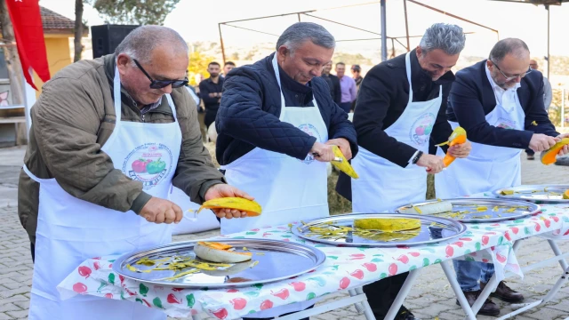 Bilecik’te Kızıldamlar Kestane Kabağı Festivali yapıldı