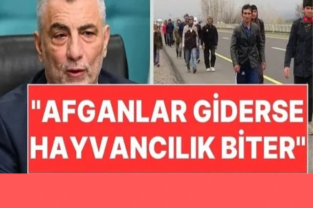 Hayvancılık Afganlar'a emanet!