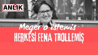 Meral Akşener'in Oy'unu